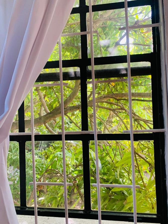 Ocean View Apartments Bridgetown Esterno foto